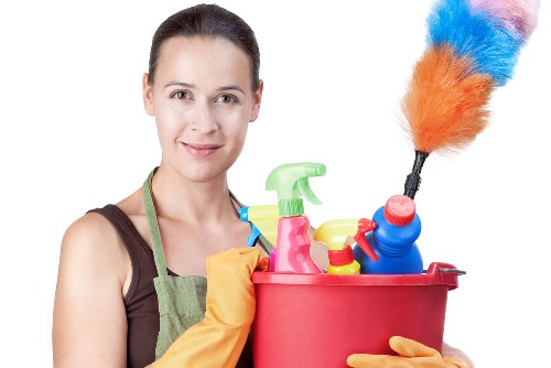 Payment and invoice details for cleaning services