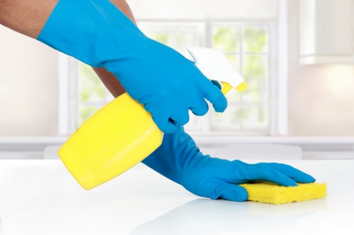 Deep carpet cleaning process for stairs and hallways in Finchley