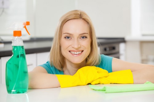 Upholstery cleaning preparation and furniture care in Finchley