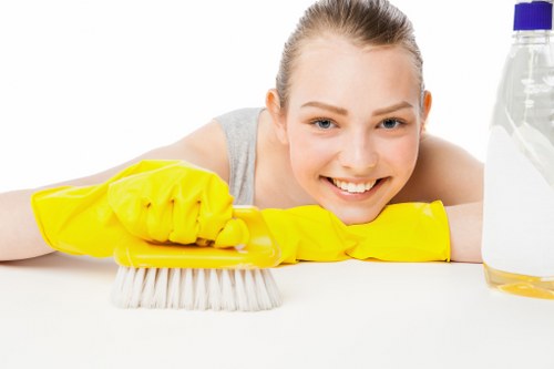 Turnover cleaning tasks for a guest-ready Finchley apartment