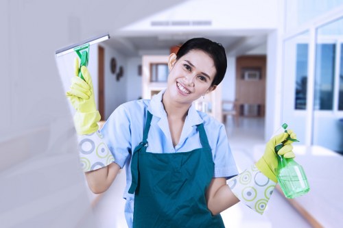 Domestic cleaning visit in Finchley with cleaning equipment