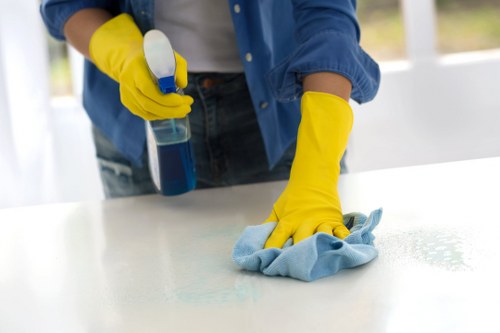 End of tenancy cleaning details in a Finchley bathroom