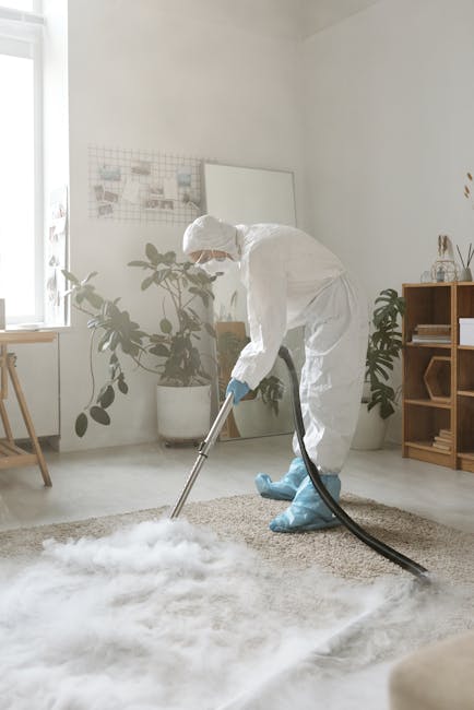 A professional cleaner dressed in protective white coveralls, gloves, and blue shoe covers is performing deep carpet cleaning in a bright, modern living room. The cleaner is operating a professional vacuum with a long hose to extract dirt and moisture from the beige carpet, which appears fluffy and well-maintained. Natural light streams through a nearby window, illuminating the white walls, wooden shelving unit, and potted plants that adorn the room. The room's minimalistic decor includes a desk and a corkboard on the wall, emphasizing a tidy, hygienic space. This scene illustrates a thorough surface cleaning process aimed at sanitisation and maintaining the cleanliness of residential carpets, with Finchley Cleaner providing same-day domestic cleaning services. The high-quality cleaning equipment and attention to detail demonstrate professional standards in hygiene and maintenance.